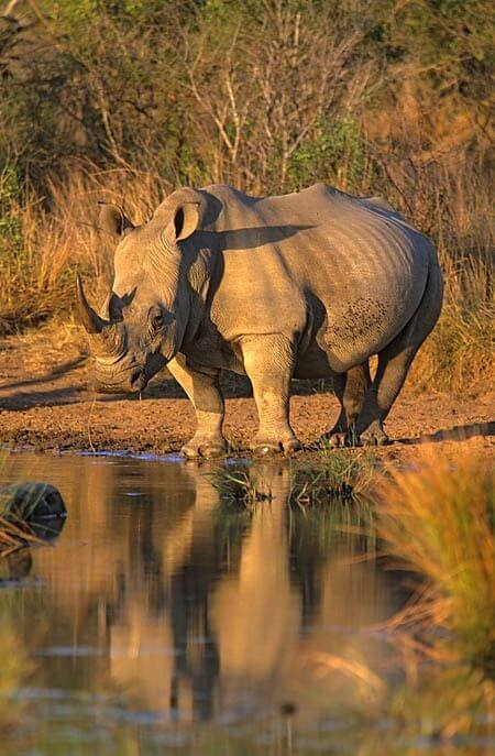 Assam-Meghalaya-Tour-Packages